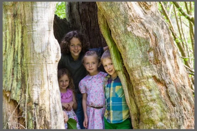 Bosjökloster Slott & Trädgårdar