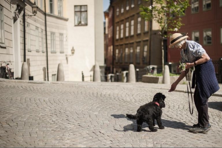 Stadsvandring i Gamla Stan