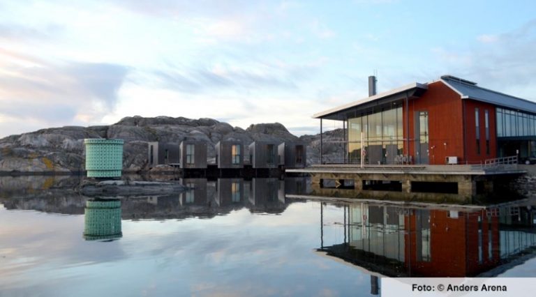 Nordiska Akvarellmuseet