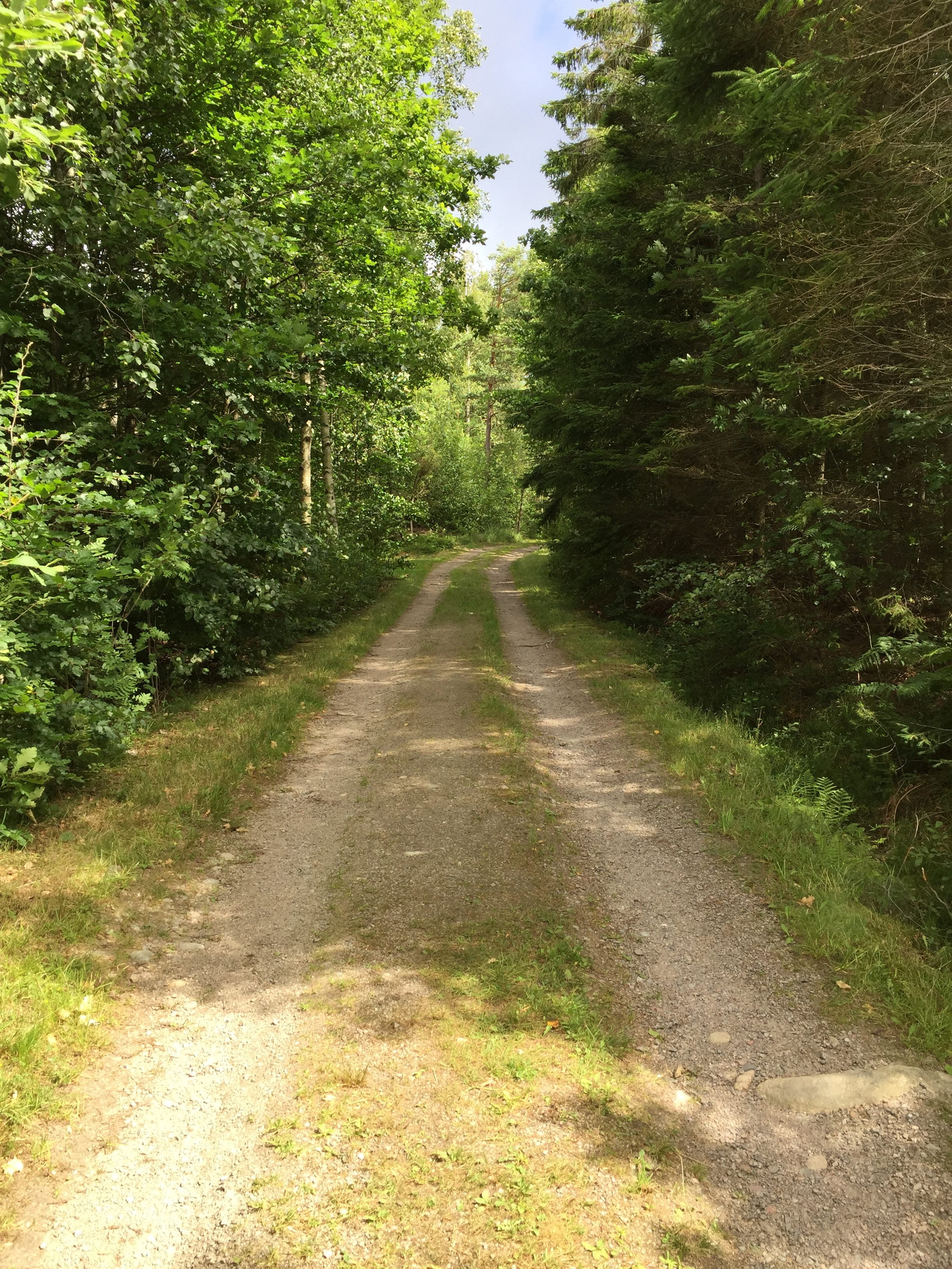 Träning och/eller motion?