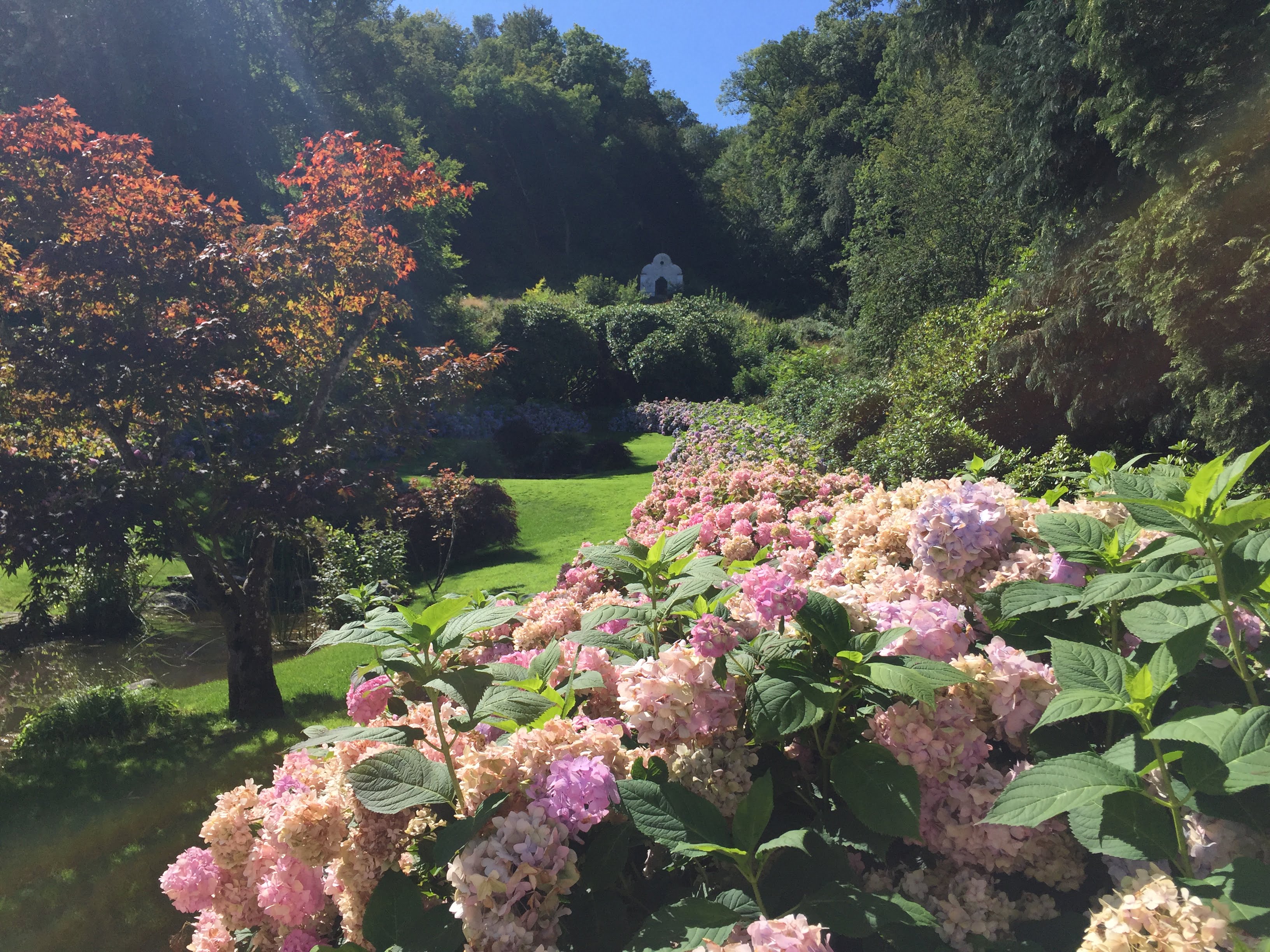 Födelsedagsfirande de luxe (del 3)