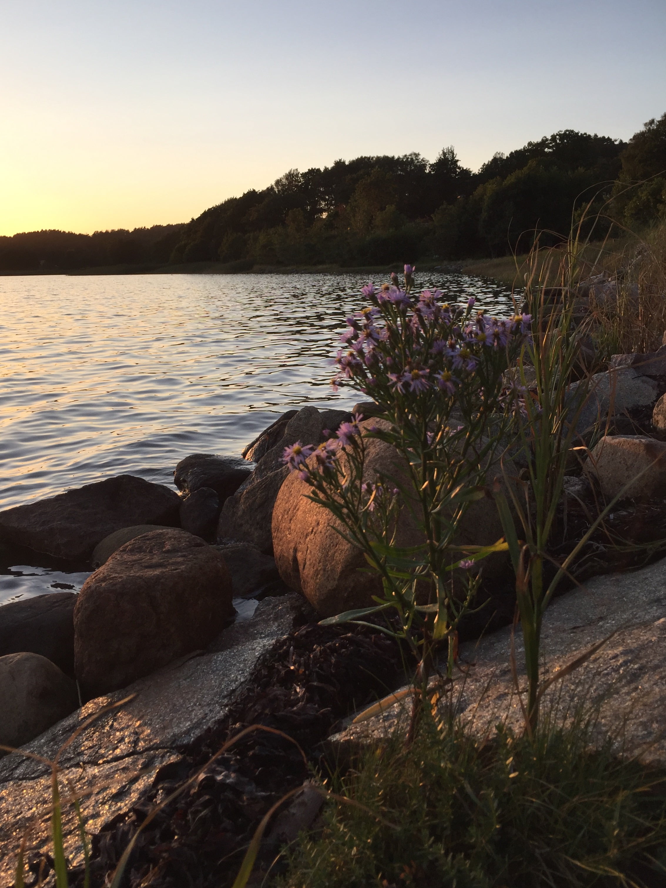 Tack sommaren 2017 och hej hösten 2017