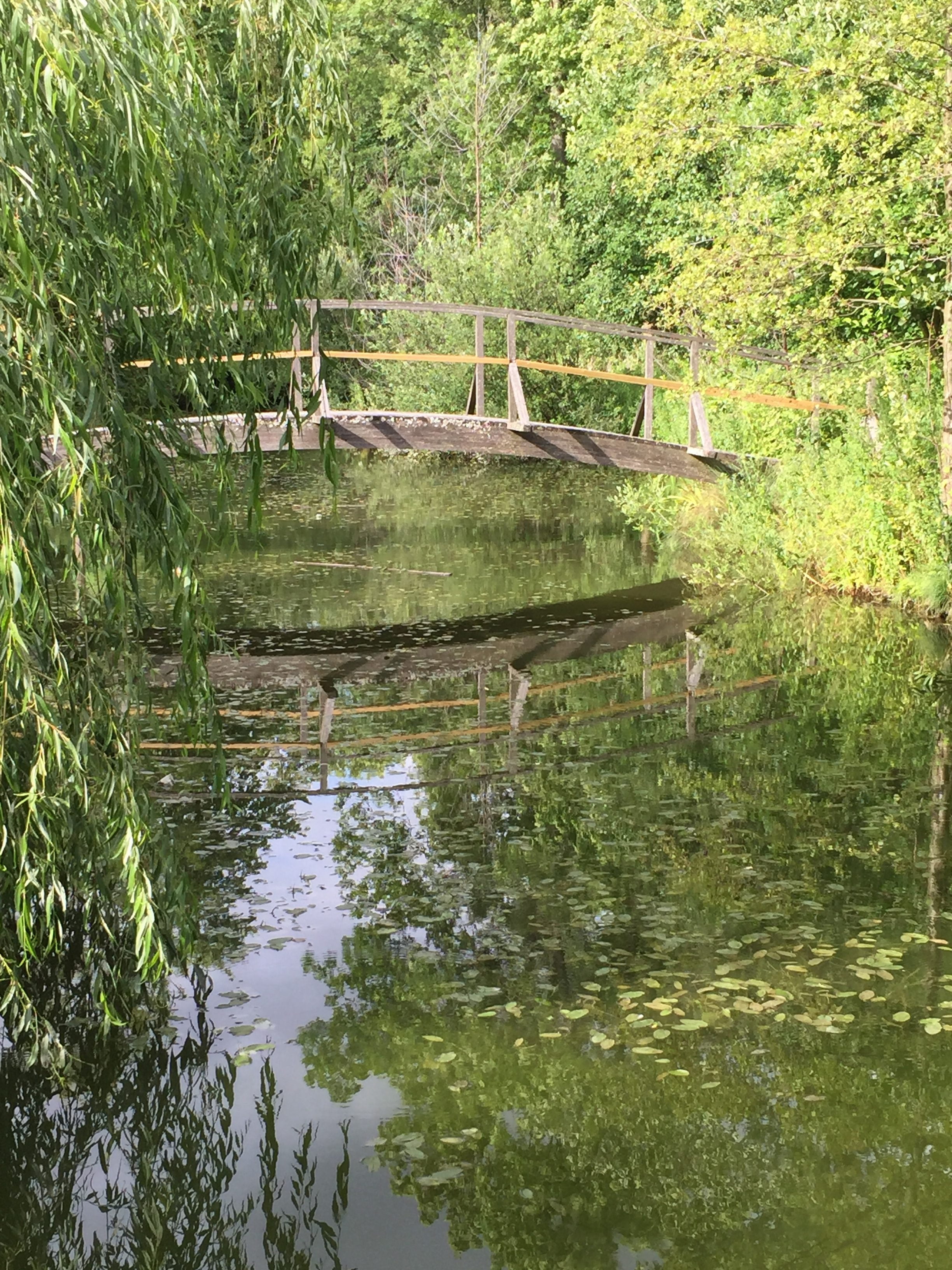 Allt är inte bara dåligt…