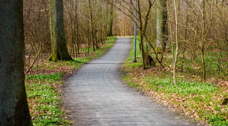 Bokskogen, Torup Bokskogen, Torup