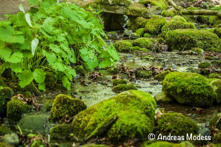 Rövarekulan Rövarekulan
