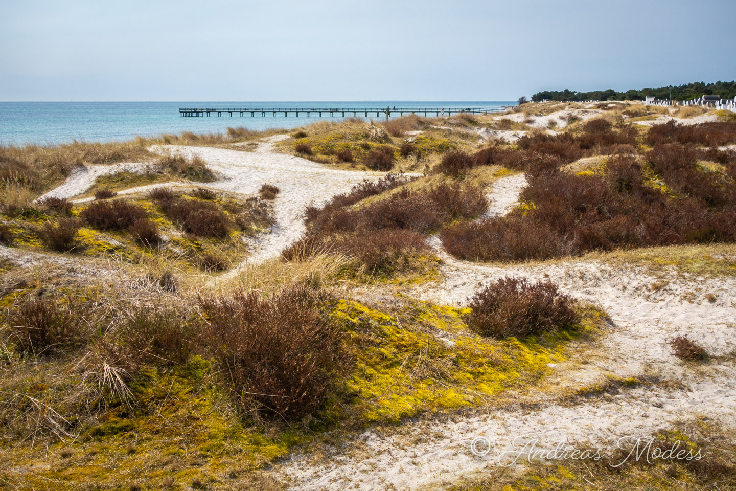 Foto: Andreas Modess