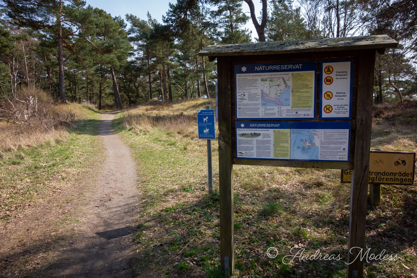 Foto: Andreas Modess