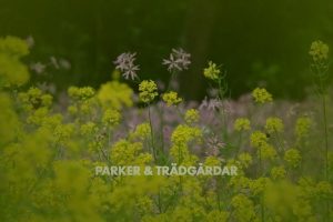 Parker & Trädgårdar