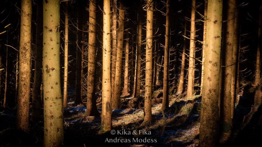 Verkeåns naturreservat