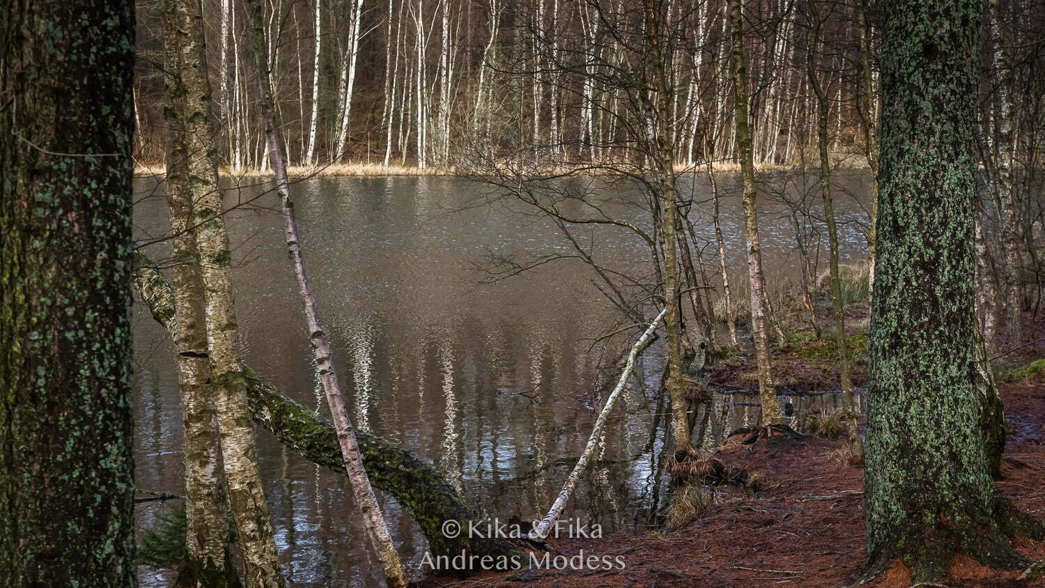 Spontanpromenaden kunde inte börja bättre