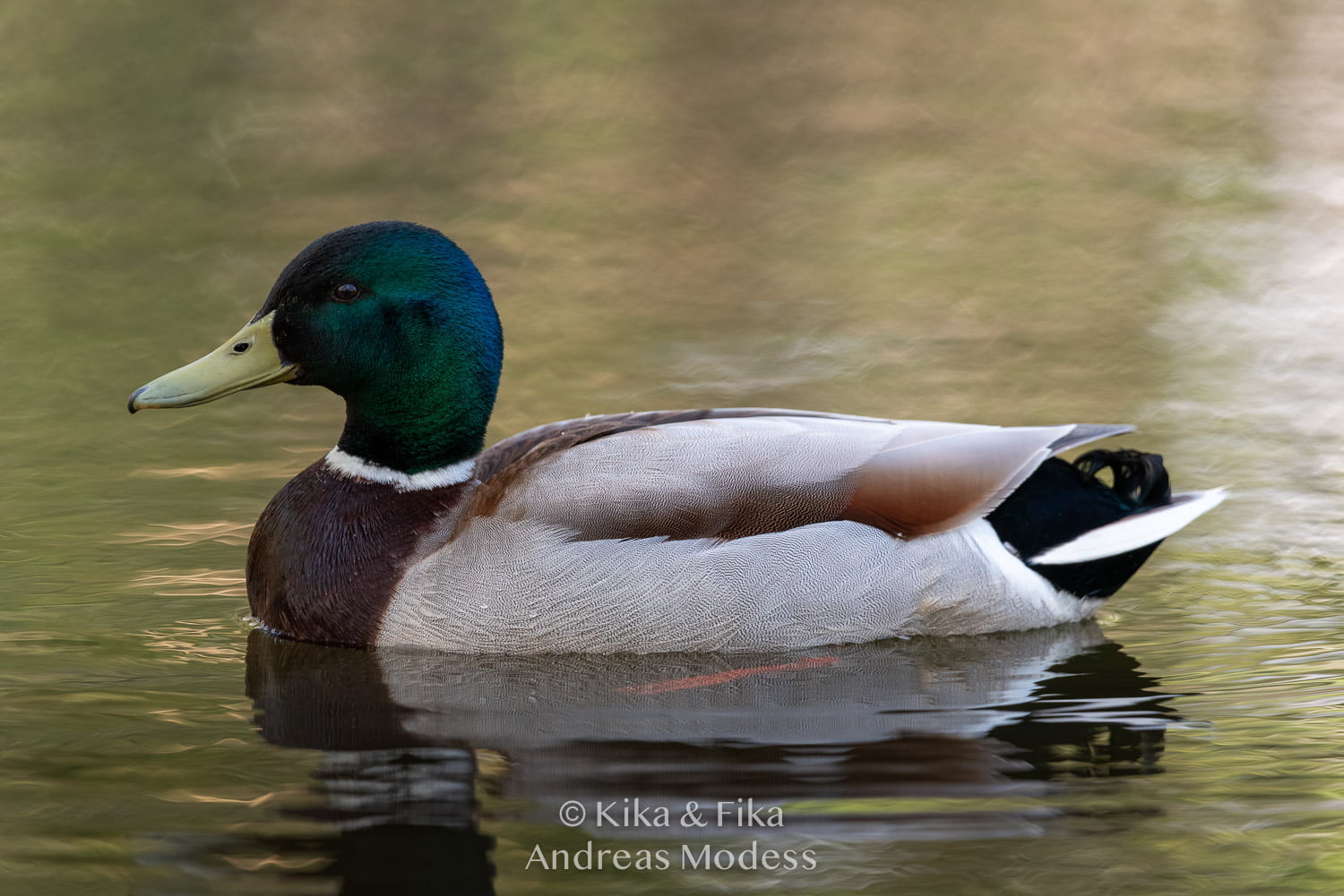 Nytt objektiv till kameran