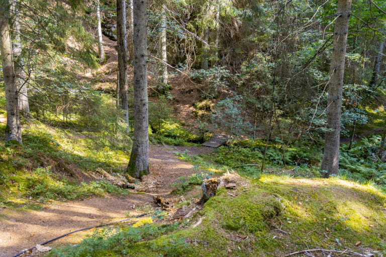 Gullmarsskogen - Bohuslän Gullmarsskogen - Bohuslän