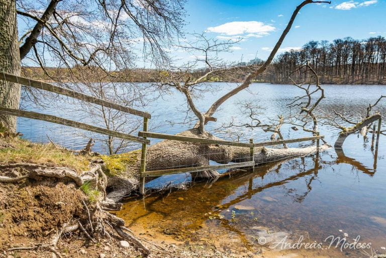 Häckeberga - Skoggård