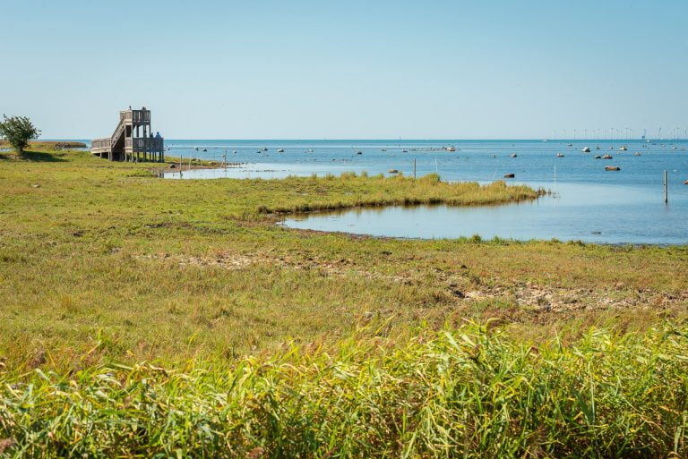 Bunkeflo Strandängar