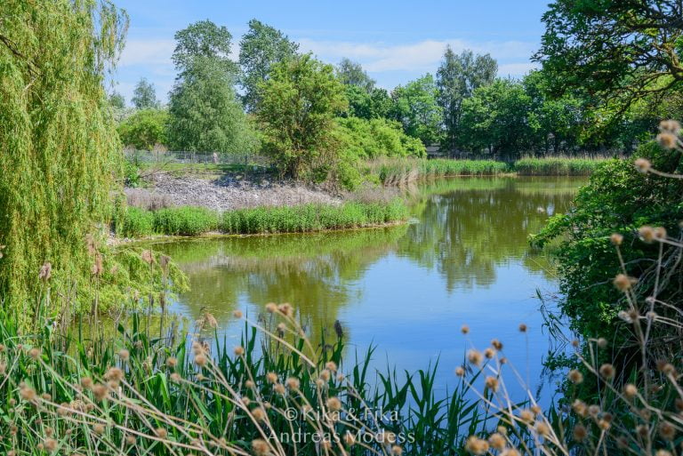 Spillepengens fritidsområde