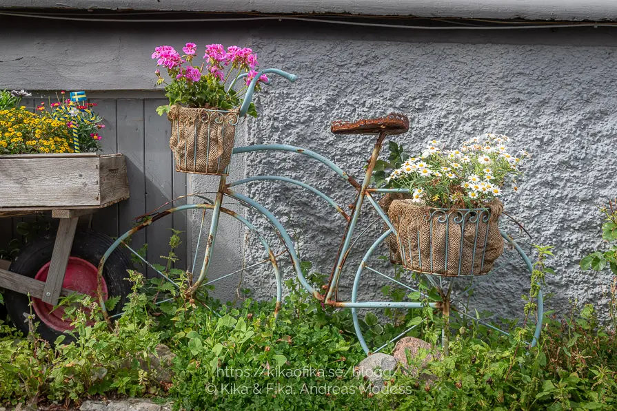 Cykel med blommor