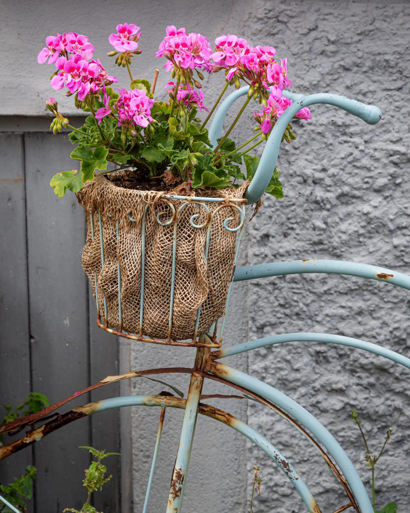Cykel med Blommor på Marstrand