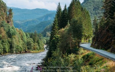 Från Preikestolen camping och vidare mot Bergen